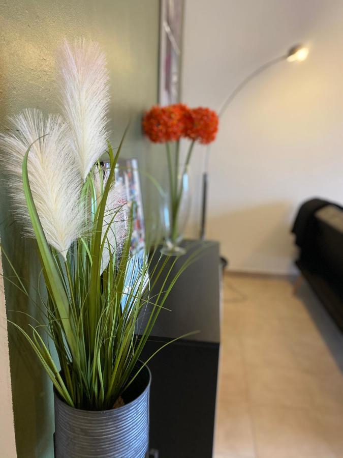 Appartements Vue Mer Saint-Florent  Exterior foto